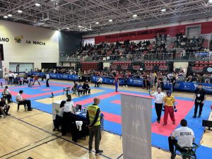 Top Fighters – Spanish Open Kickboxing